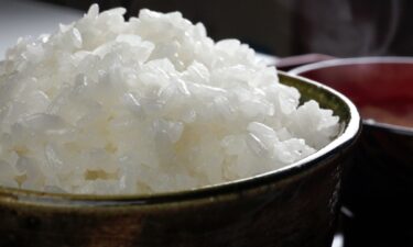 【日本人はやっぱ米でしょ!】アメリカで買える美味しいお米ランキング
